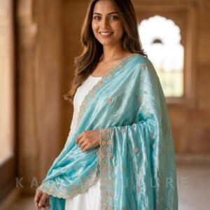 Blue Organza Embroidered Lehenga Choli – Custom Made to Measure